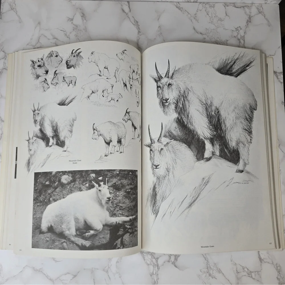 Signed Doug Lindstrands Alaskan Sketchbook 6th Ed 1983 Wildlife Art Photo Guide